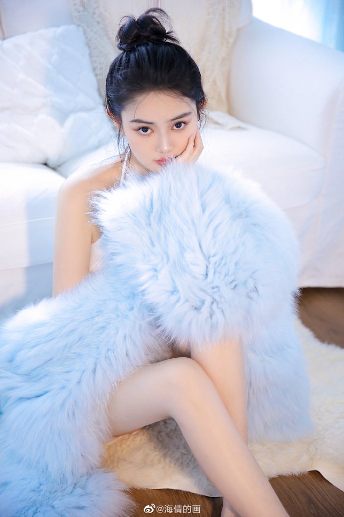 疯狂动物城 封面